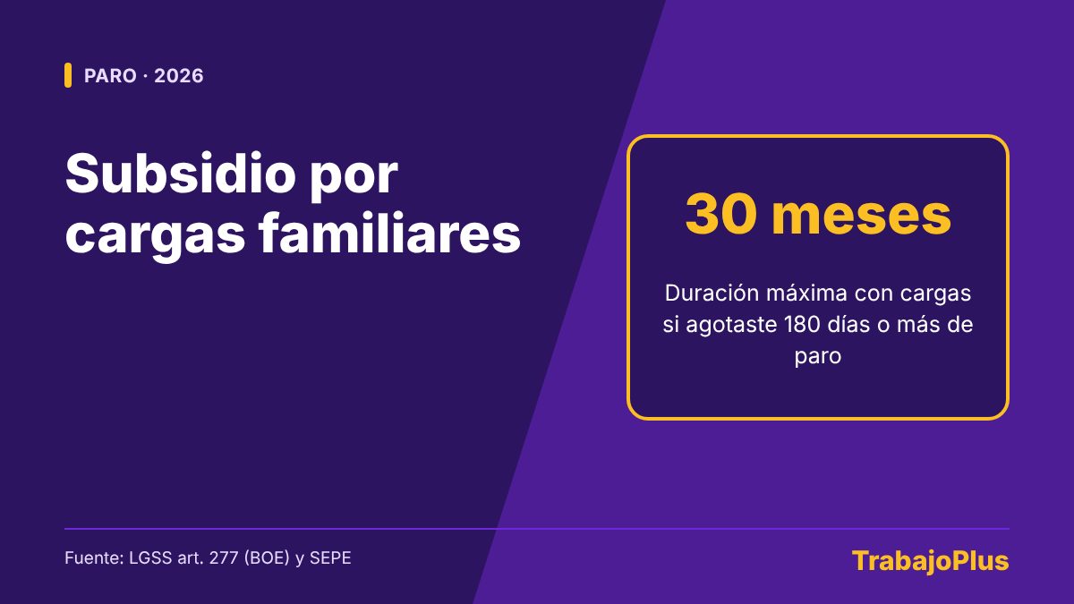 Ilustración con el texto subsidio por cargas familiares: hasta 30 meses de subsidio si acreditas responsabilidades familiares
