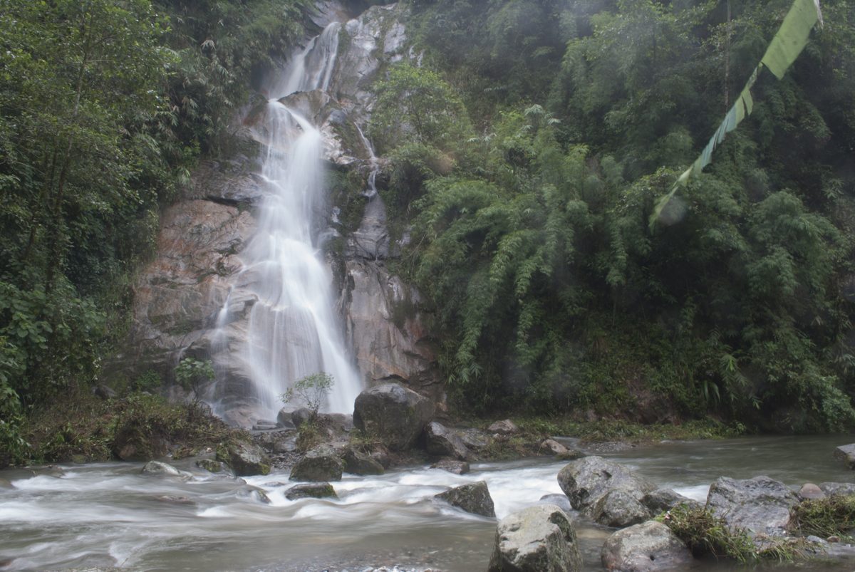 Cascada entre vegetación verde en un paraje natural de montaña